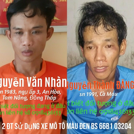 Truy nã hai bị can Nguyễn Văn Nhàn và Nguyễn Thành Đăng