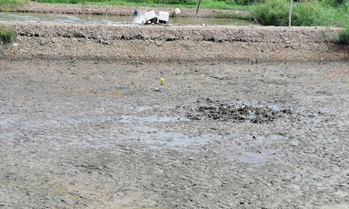 Phát hiện bộ xương người dưới ao nuôi tôm