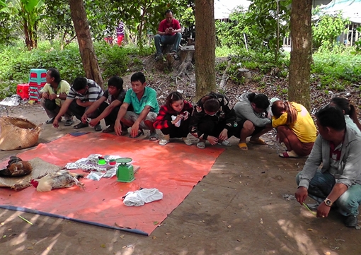 Triệt phá trường gà ở vùng quê