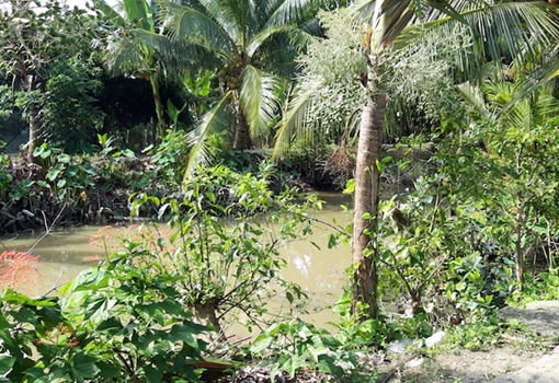 Bé trai hai tuổi ngã kênh nước trước nhà dẫn đến tử vong