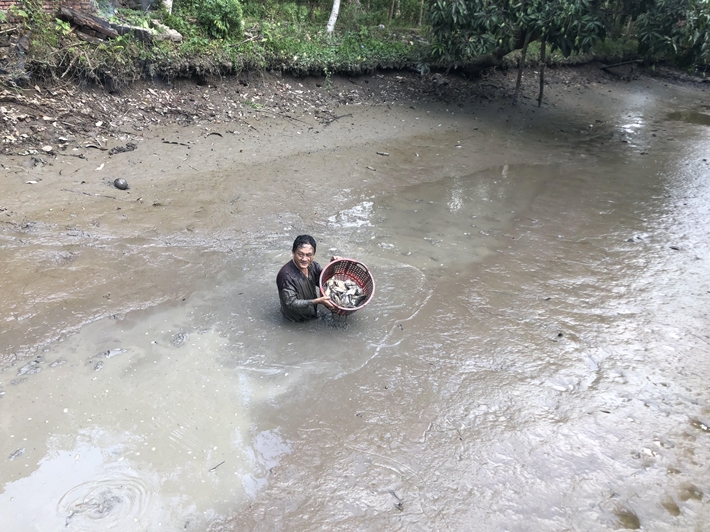 Người dân gồng sức chống hạn mặn vượt mức lịch sử