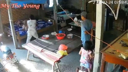 Làm rõ vụ con dâu bạo hành mẹ già 88 tuổi 