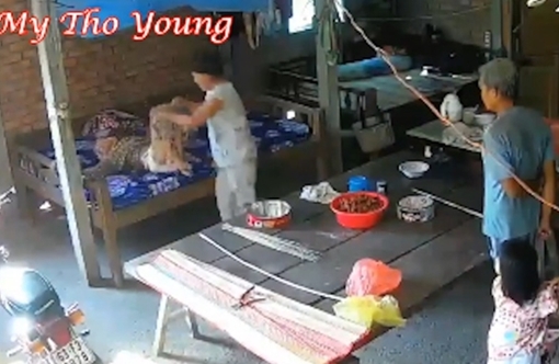 Cặp vợ chồng bạo hành mẹ già 88 tuổi lĩnh án