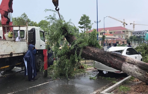 Cây me cổ thụ bật gốc đè lên ôtô 4 chỗ