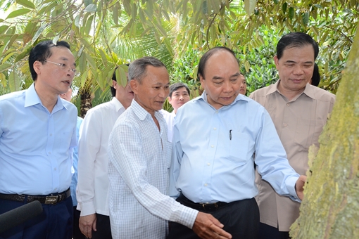 Chủ động ứng phó nguy cơ hạn mặn ở ĐBSCL