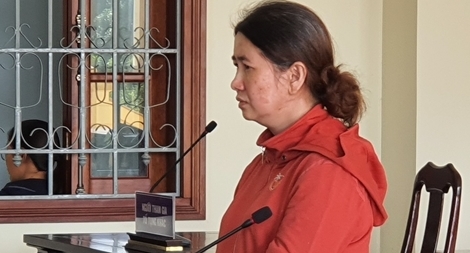 Nữ nhân viên chiếm đoạt 2,7 tỷ đồng lĩnh 17 năm tù