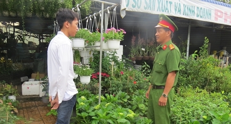 Cảnh giác tội phạm trộm cắp hoa kiểng dịp Tết