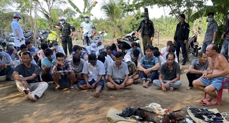 Triệt phá hai "sới gà" quy mô, bắt giữ 89 người