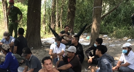 Bắt giữ 21 đối tượng tham gia đá gà và lắc tài xỉu