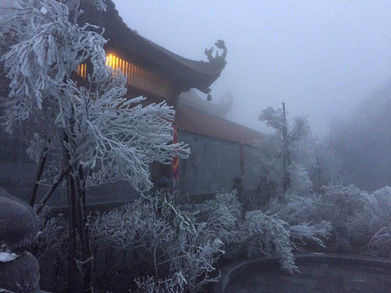 Ngỡ ngàng ngắm  "tuyết rơi mùa hè" đẹp mê hồn