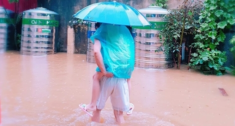 Cha lội nước lụt cõng con đi thi gây xúc động 