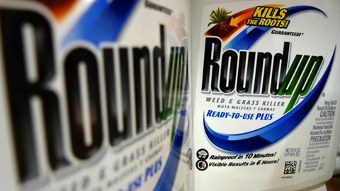 Monsanto liên tiếp thua kiện vì thuốc diệt cỏ gây ung thư