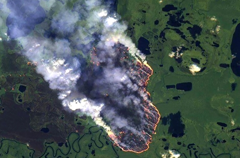 Rừng Amazon - "Lá phổi xanh" của nhân loại đang khẩn thiết kêu cứu