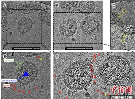 (NÓNG TUẦN QUA) COVID-19 lan khắp thế giới, chiến sự Idlib hạ nhiệt