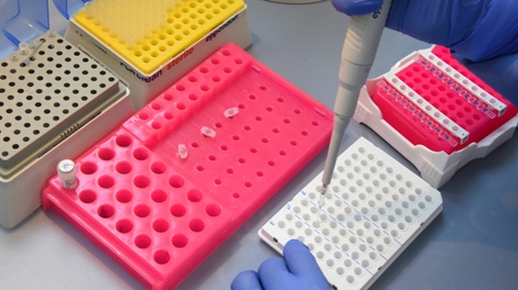 Nga công bố thời điểm có vaccine chống COVID-19