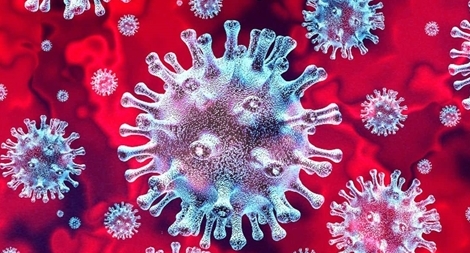 8 quốc gia châu Âu báo cáo người nhiễm chủng mới COVID-19