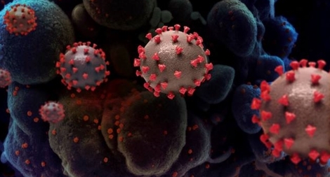 (NÓNG TUẦN QUA) Biến chủng COVID-19 mới lan khắp thế giới; nội bộ Mỹ lại bất đồng