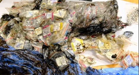 Tìm thấy túi kim cương, nhẫn vàng trị giá 2 triệu USD trong rừng 