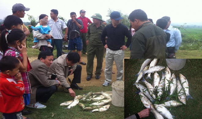 Bộ Công Thương kiểm tra sự cố vỡ đập thải thiếc