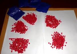 Triệt phá “công xưởng” sản xuất ma tuý “khủng” ở miền quê