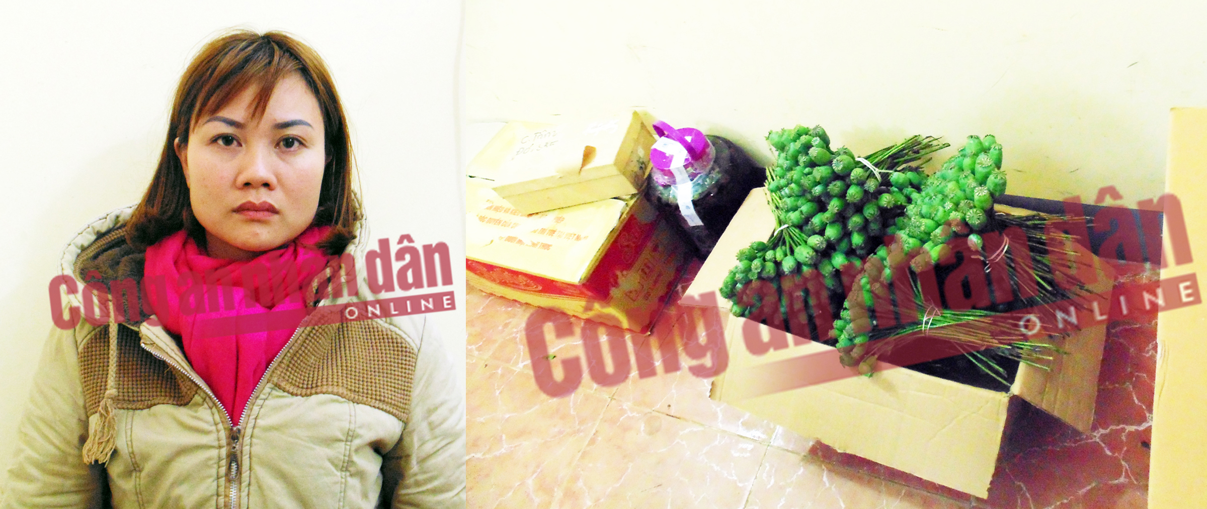 Liên tiếp tóm gọn các đối tượng vận chuyển quả thuốc phiện