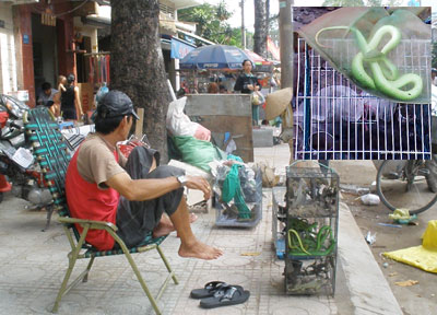 Có bằng chứng khoa học nào cho thấy mật rắn hổ mang có thể chữa trị ung thư không?